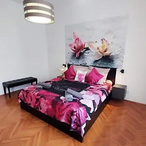Orchidea In The Centre , Split Croatia